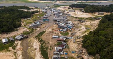 Da Amazônia à Europa, seca avança e movimenta debates na COP17