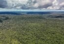 Devastação na Amazônia pode quebrar maior "máquina de chuva" do mundo