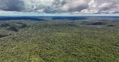 Devastação na Amazônia pode quebrar maior "máquina de chuva" do mundo