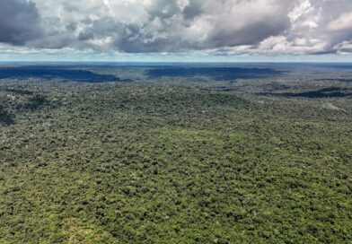 Devastação na Amazônia pode quebrar maior "máquina de chuva" do mundo