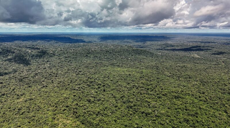 Devastação na Amazônia pode quebrar maior "máquina de chuva" do mundo