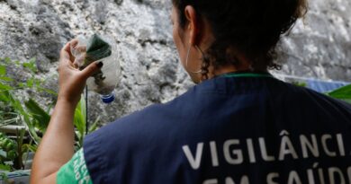 São Paulo tem mais de 58 mil casos de dengue desde o início do ano