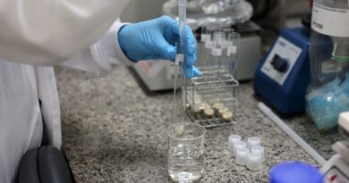 Doença de Newcastle: protocolos sanitários são cumpridos em SC