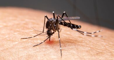 Mudanças climáticas já causam aumento de doenças infecciosas no país