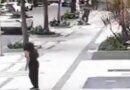 Professora aposentada da UFRJ é baleada em assalto na zona sul do Rio