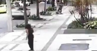 Professora aposentada da UFRJ é baleada em assalto na zona sul do Rio